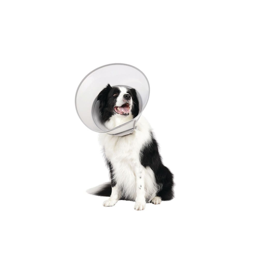 PROCARE Cone Collar