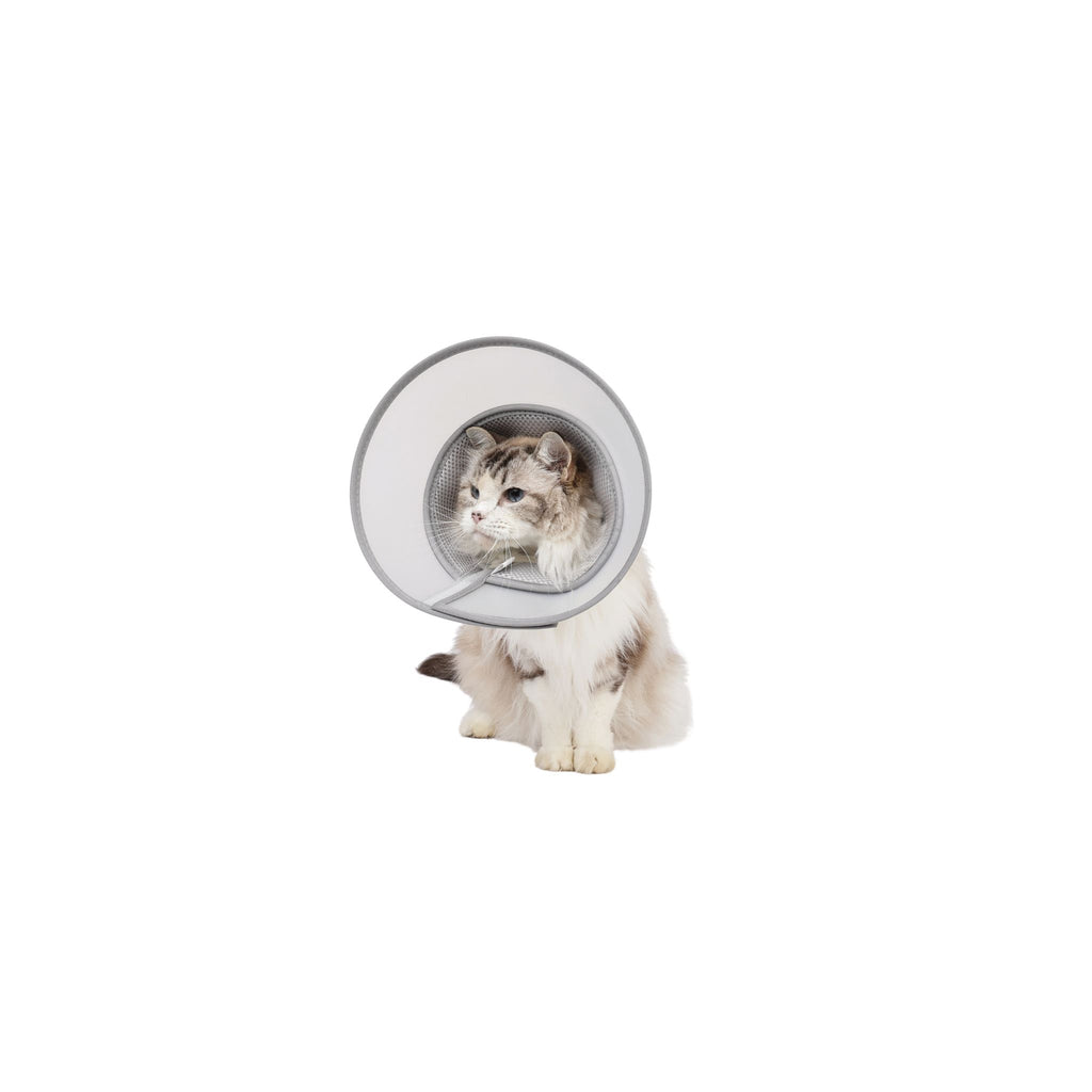 PROCARE Cone Collar