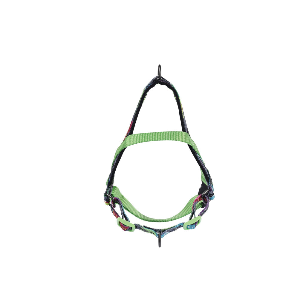 URBAN STYLE DNA Norwegian Dog harness