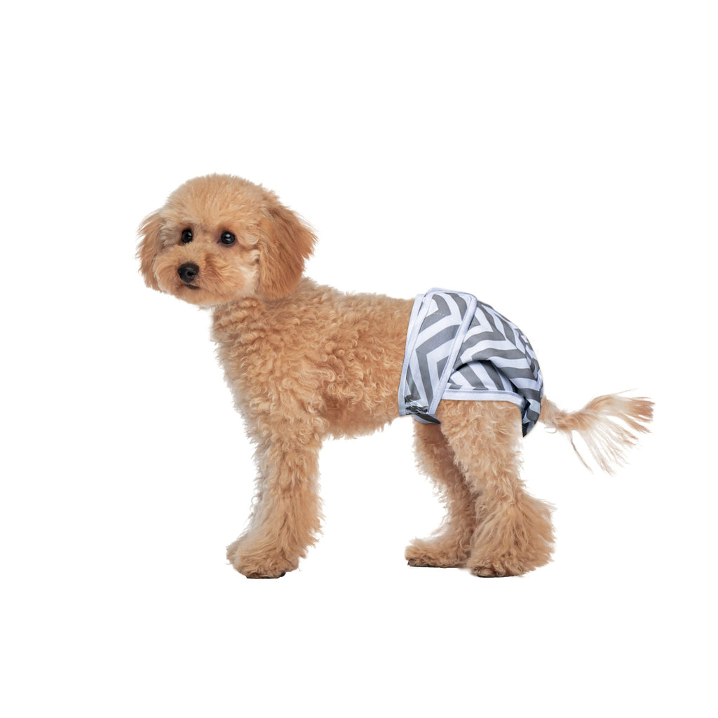 Female Dog Washable Diaper 2pcs
