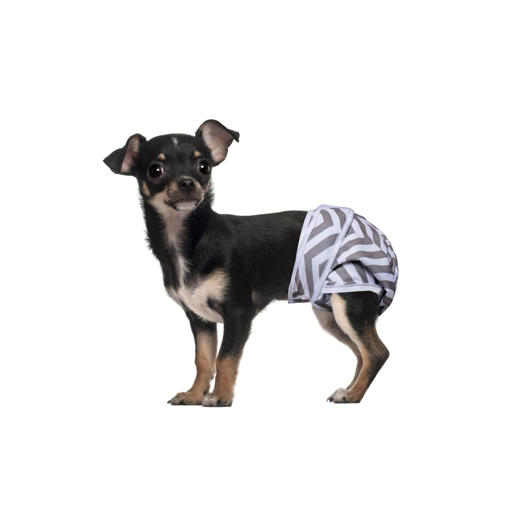 Female Dog Washable Diaper 2pcs