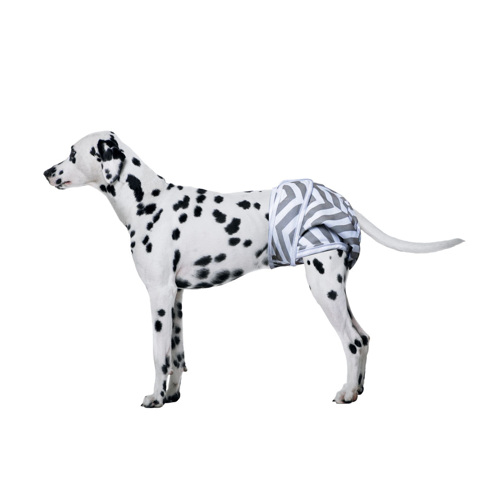 Female Dog Washable Diaper 2pcs