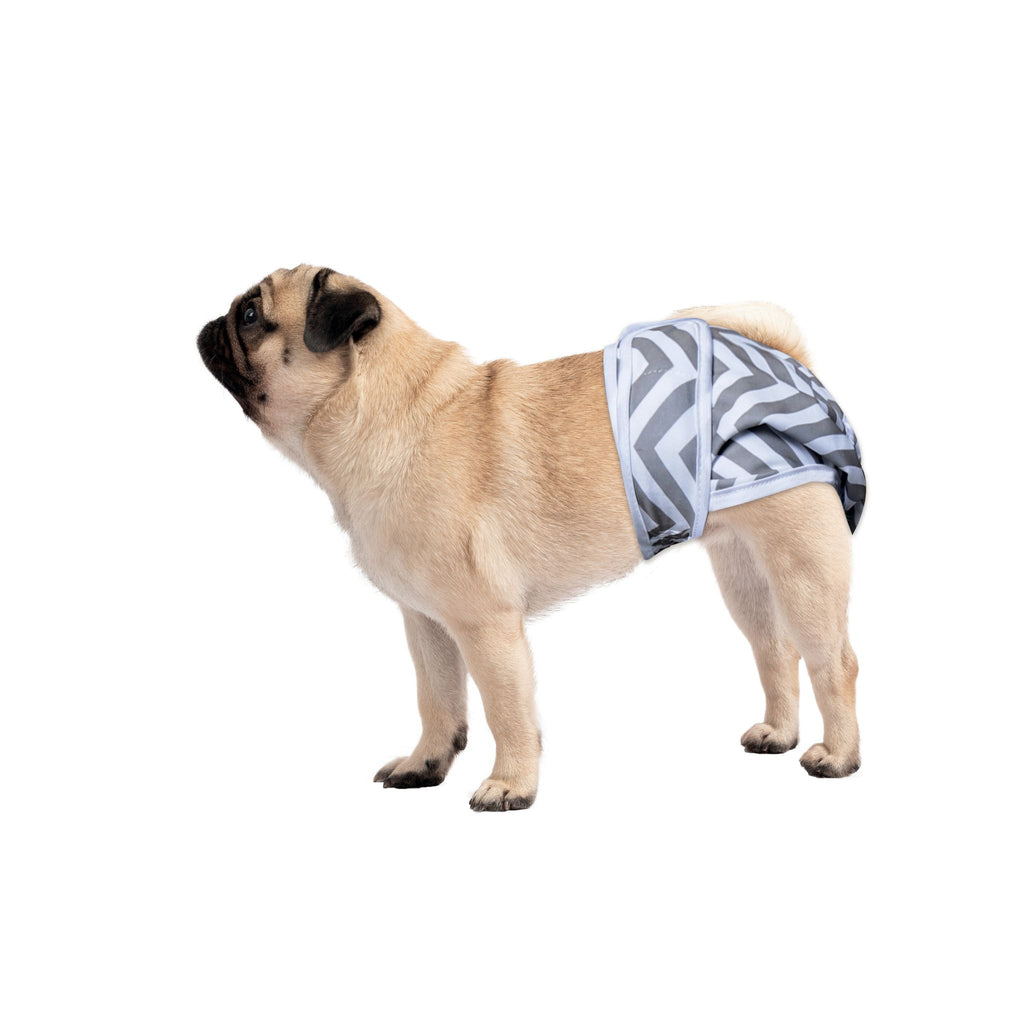 Female Dog Washable Diaper 2pcs