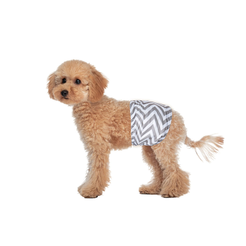 Male Dog Washable Diaper 2pcs