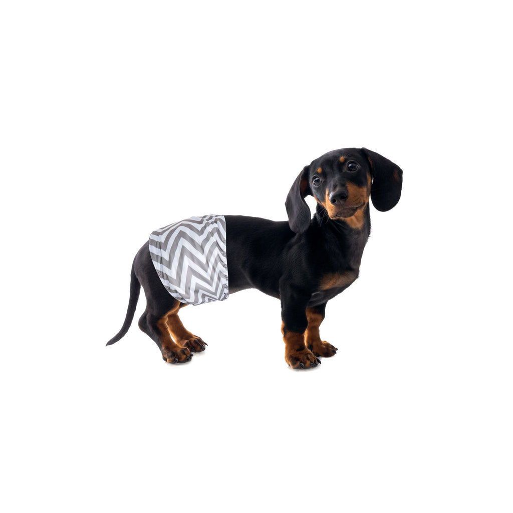 Male Dog Washable Diaper 2pcs