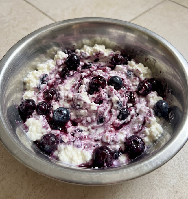 Cottage Cheese & Blueberry Swirl