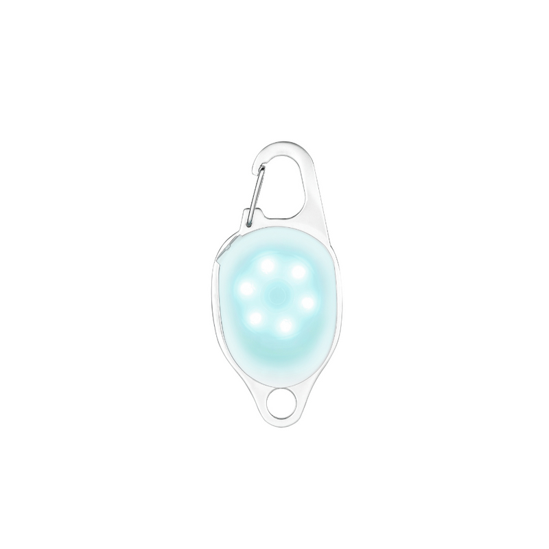 Gioiello LED ricaricabile per cane - Bianco