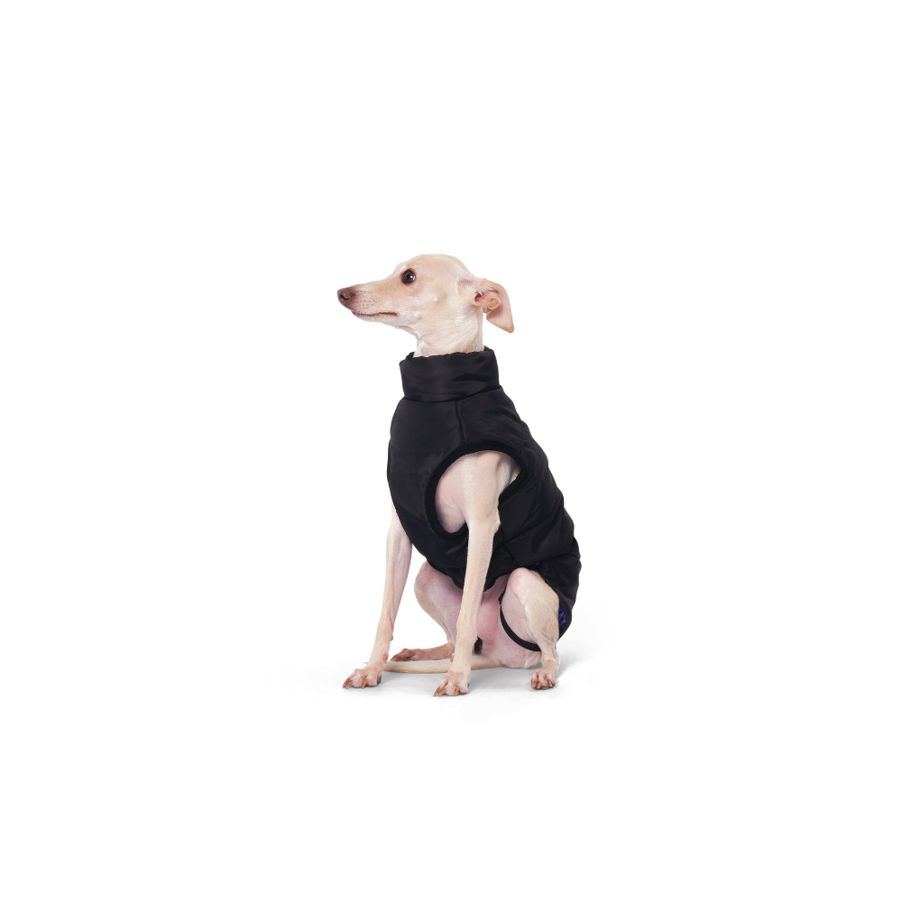 GENTLE DOG Giacca Invernale Nero&Blu